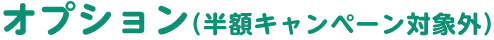 オプション(半額キャンペーン対象外)