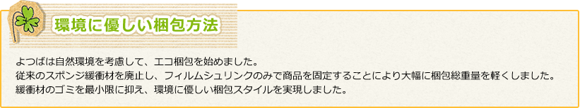 環境に優しい梱包方法