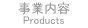 事業内容 - Products